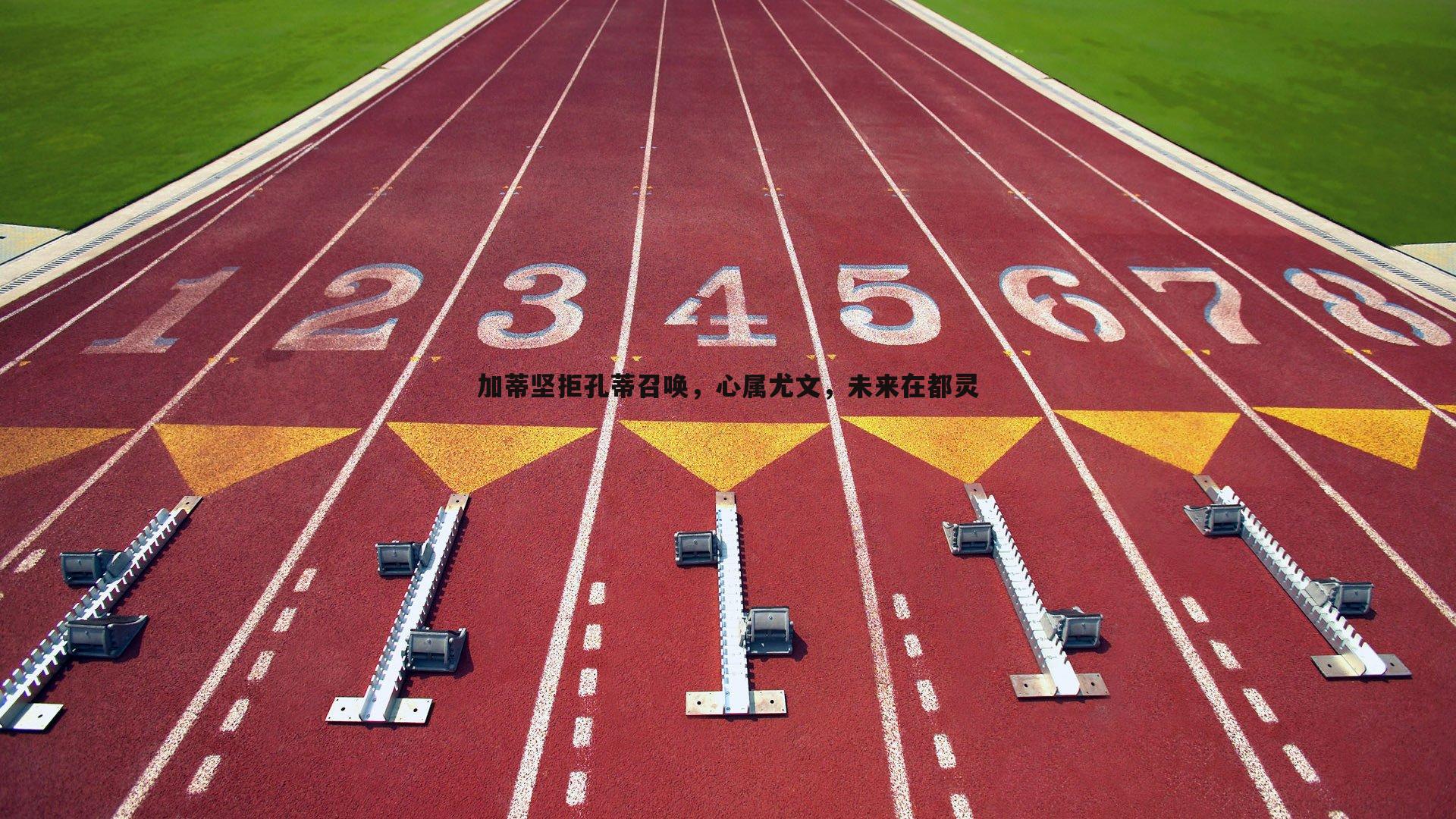 加蒂坚拒孔蒂召唤，心属尤文，未来在都灵